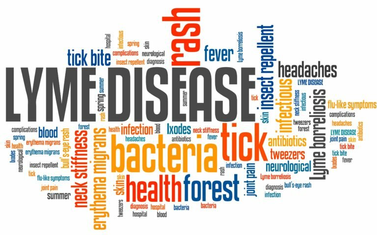 Kongress-Herbst: BCA-clinic und BCA-lab unterwegs!