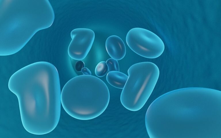 What Are Natural Killer Cells?